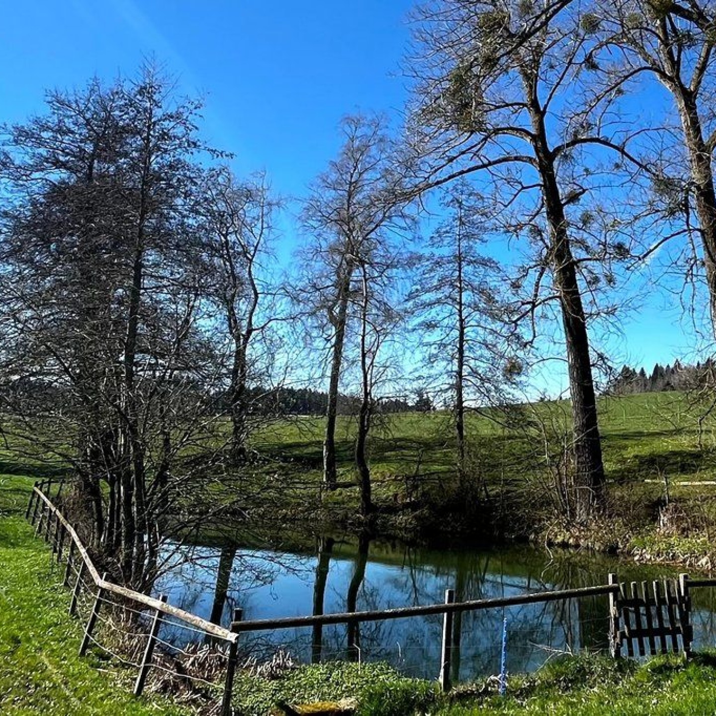 11_Freiamt_007