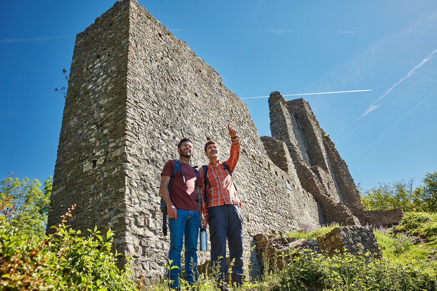 Ruine Schenkenberg