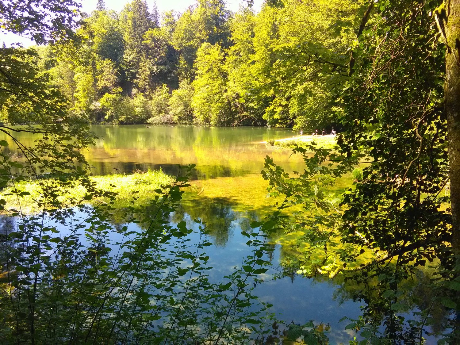 Tobelsee