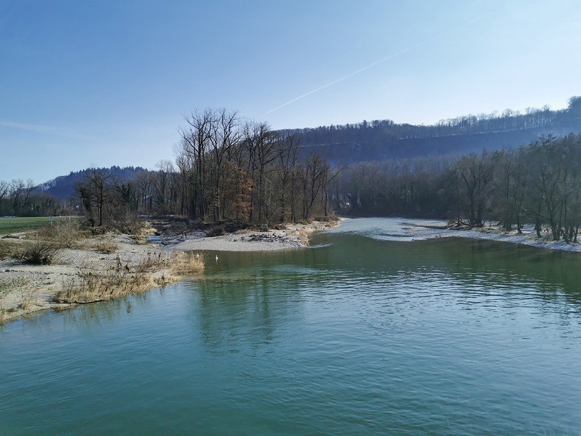 Beim Stauwehr Erlinsbach teilt sich die Aare in mehrere Arme.
